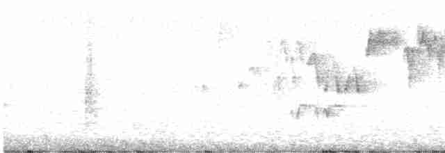 Troglodyte de Baird - ML600575971