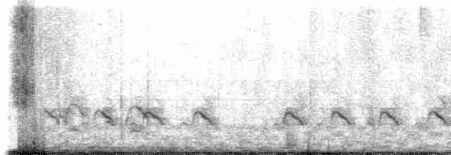 Bar-tailed Godwit - ML600581311