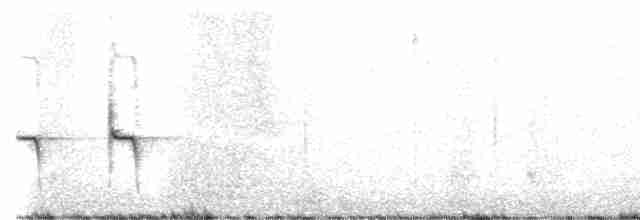 Пестрогрудый эспинеро - ML600589371