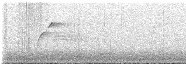 Batı Amerika Sinekkapanı (occidentalis/hellmayri) - ML600603271