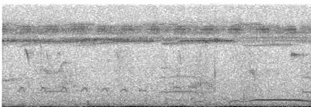 holub neotropický - ML600620091