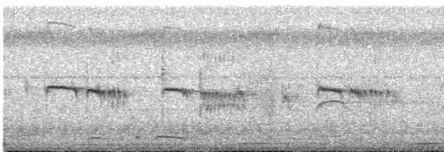 Тиранчик-тонкодзьоб південний - ML600621651