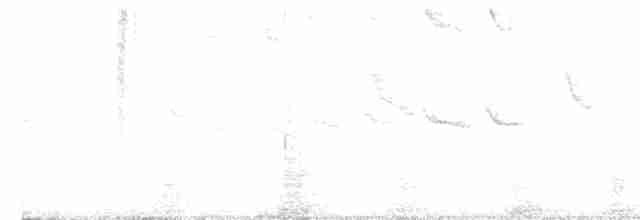 Lesser Goldfinch - ML600622911