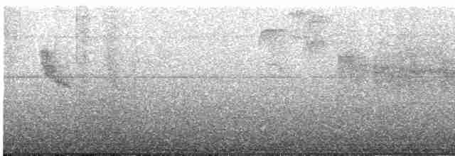 Swinhoe's White-eye - ML600635171