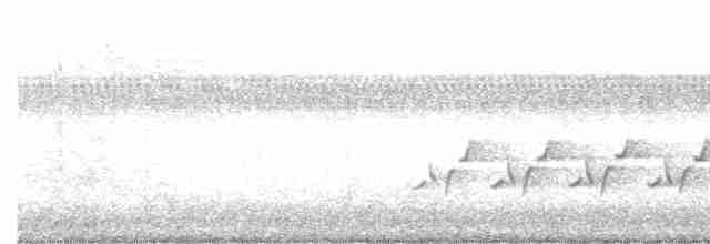 Каролинский крапивник - ML600638391