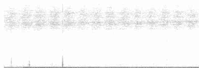 Kara Giysili Karıncakuşu - ML600697141
