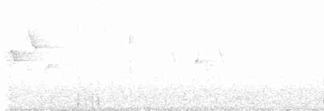 Canada Warbler - ML600698201