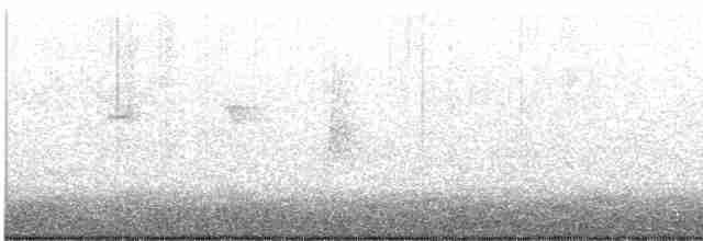 Миртовый певун (coronata) - ML600758481