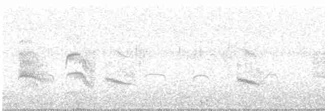 Arctic Tern - ML600849971