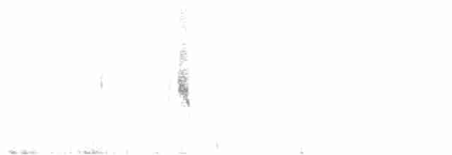 Australian Reed Warbler - ML600856461