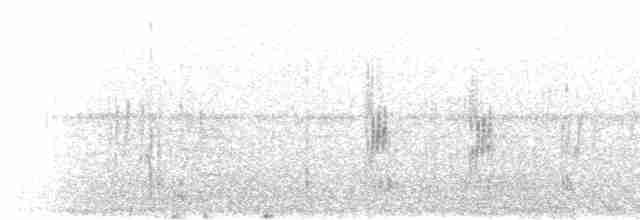 Ластівка міська (підвид urbicum/meridionale) - ML600857381