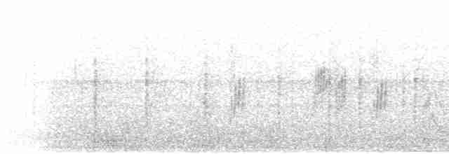 Ластівка міська (підвид urbicum/meridionale) - ML600858431