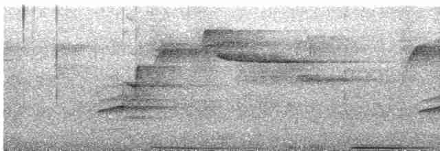オリーブヒヨドリ（cinnamomeoventris） - ML600860891