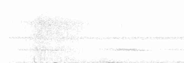 Montane Nightjar (Rwenzori) - ML600893151