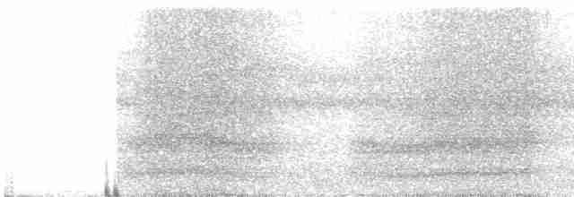 Kara Başlıklı Kedikuşu - ML600958151