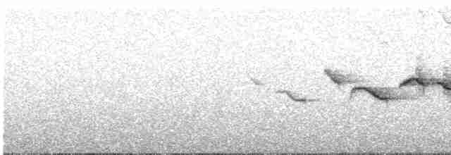 Fan-tailed Warbler - ML600989731
