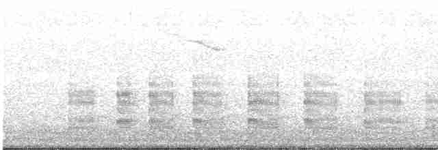 Amerika-Schlangenhalsvogel - ML601023811