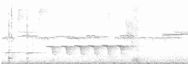 Поплітник коста-риканський - ML601028881