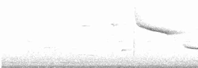 Поплітник коста-риканський - ML601028901