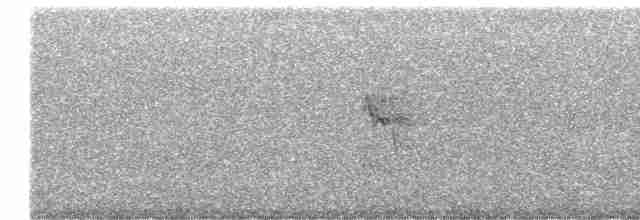 Kara Göğüslü Kamçıkuşu - ML601062171