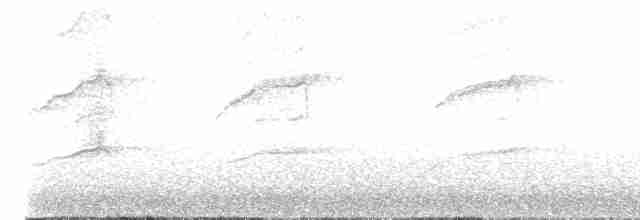 Sharp-shinned Hawk (Northern) - ML601092531