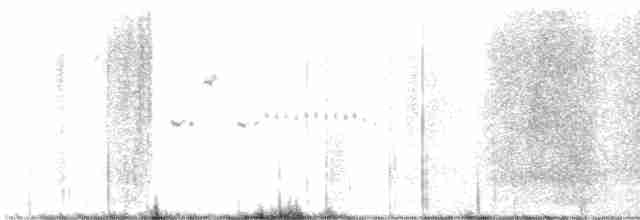 Baird's Sparrow - ML601104931
