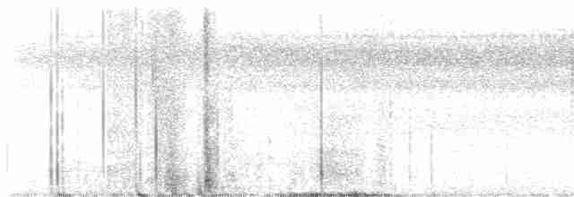 Краснохвостый канюк (borealis) - ML601110451