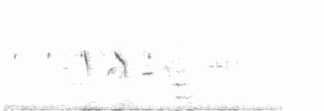 Alondra del Karoo - ML601138011
