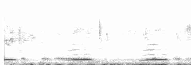chřástalík kaštanovoprsý - ML601138061