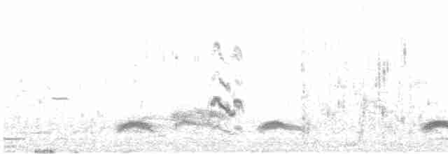 ML601162341 visualization