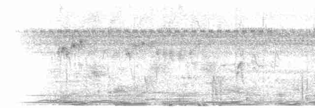 Small-billed Tinamou - ML601214811