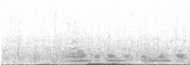 Magellanic Cormorant - ML601229641