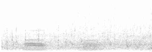 Magellanic Cormorant - ML601229651