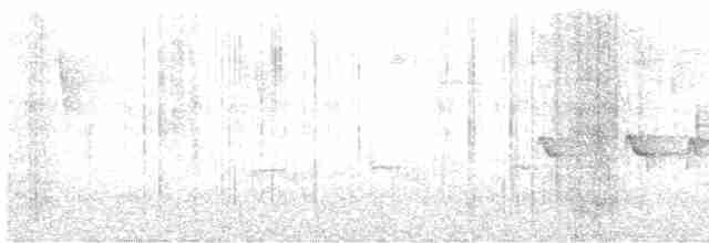 Strichelkopf-Ameisenfänger - ML601232571