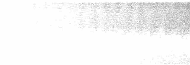Тиран-інка буроголовий - ML601233081