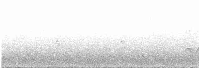 White-crested Elaenia - ML601237111