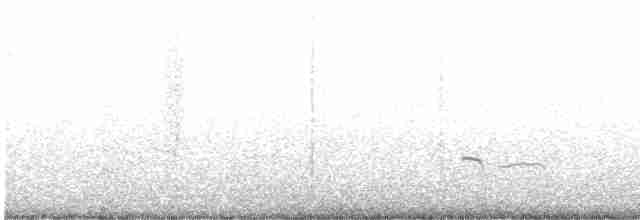 Flötenregenpfeifer - ML601256361