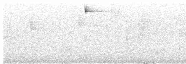 Дятел-смугань жовтобровий - ML601312401