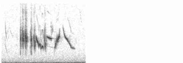 סלעית איברית - ML601313251