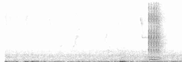Büyük Yerkoşarı - ML601319601