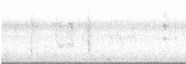 Roseate Tern - ML601320351
