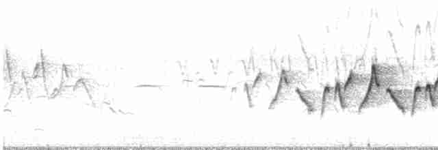 Common Yellowthroat - ML601327821