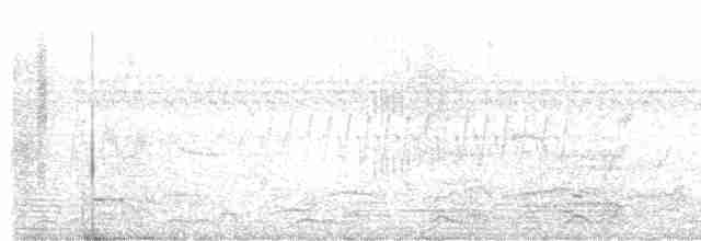 Кремовый дятел-гренадер - ML601362881