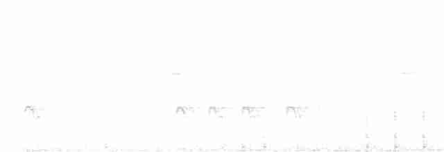 Olivflanken-Schnäppertyrann - ML601365201