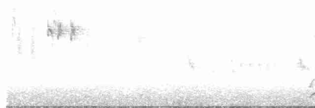 Spotless Crake - ML601367781