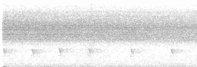 Белокрылая сириста - ML601412181