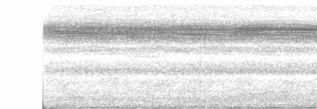 White-tailed Nightjar - ML601426921