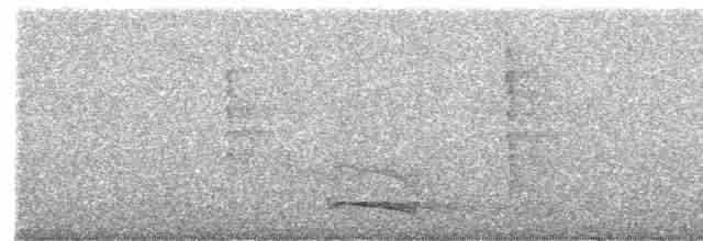 Collared Trogon - ML601435351
