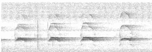 Орел-чубань рудошиїй - ML601436361
