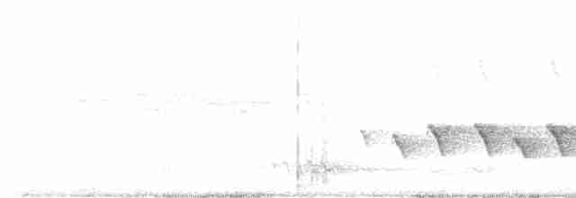 White-browed Shrike-Babbler (Blyth's) - ML601461881